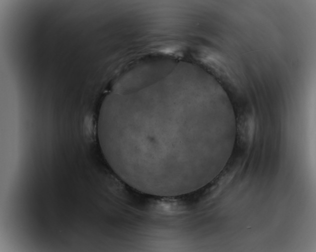 X0000094460420200711081329
