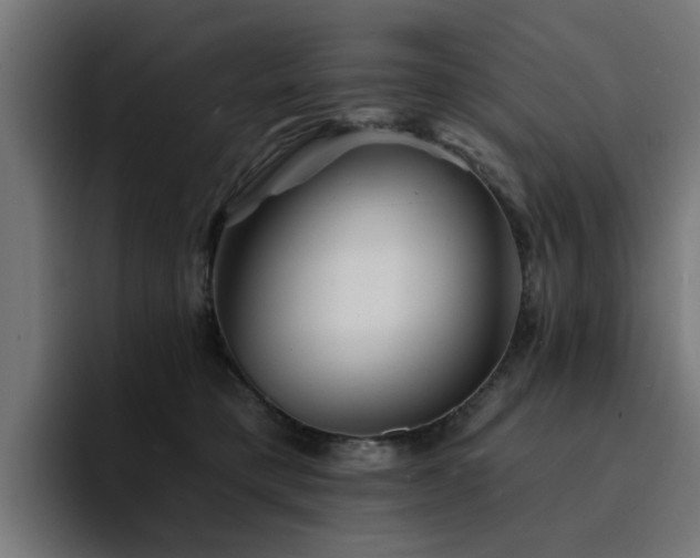 X0000094460421200711081329
