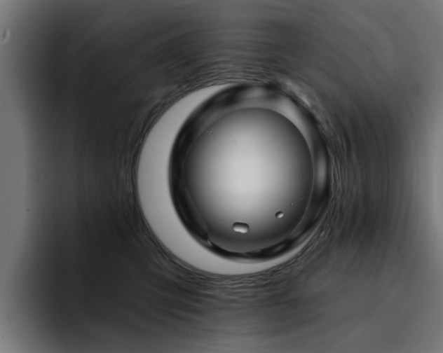 X0000094460423200711081329