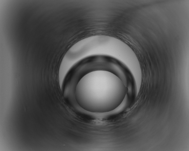 X0000094460425200711081329