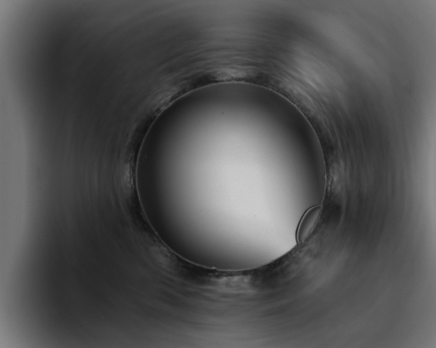 X0000094460426200711081329