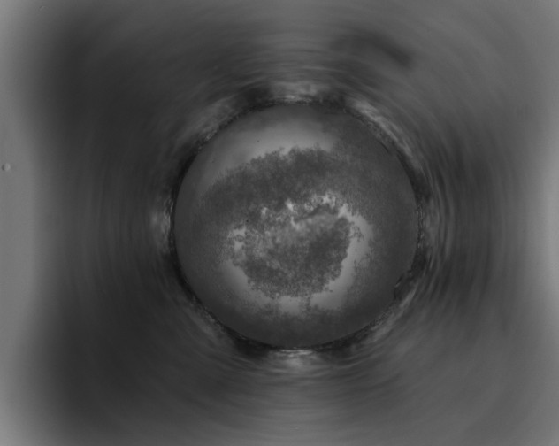 X0000094460427200711081329