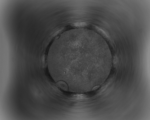 X0000094460428200711081329