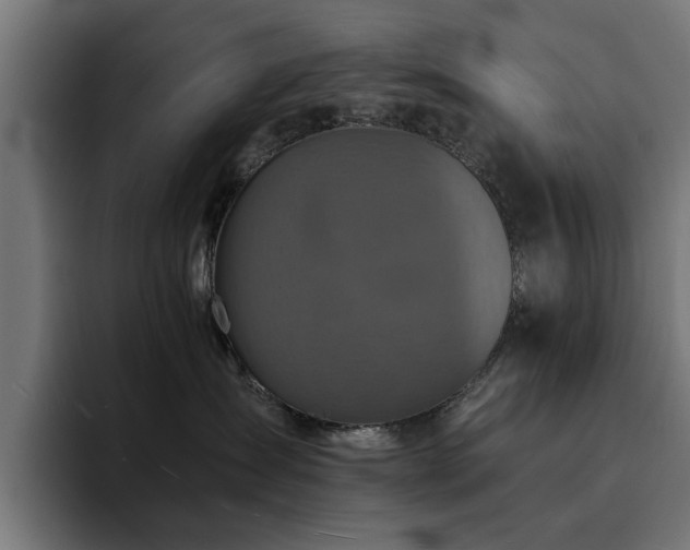 X0000094460431200711081329