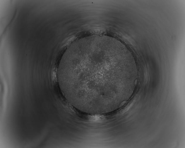 X0000094460432200711081329