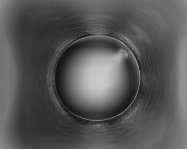 X0000094460433200711081328