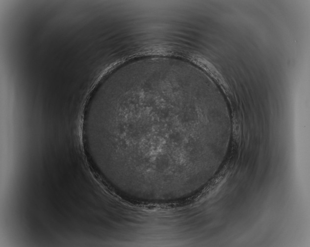 X0000094460434200711081328