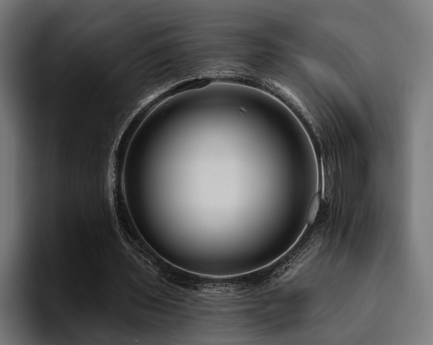 X0000094460435200711081328