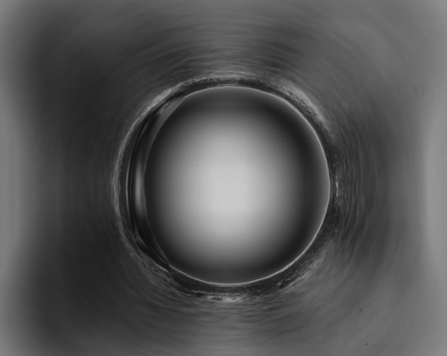X0000094460436200711081328