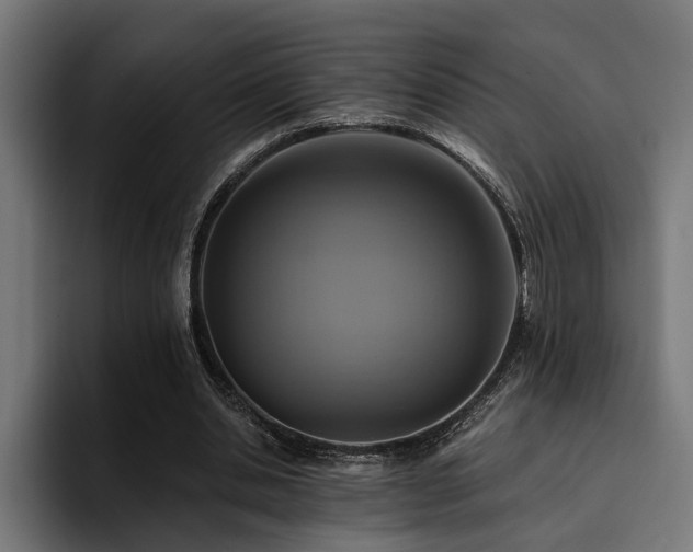 X0000094460438200711081328