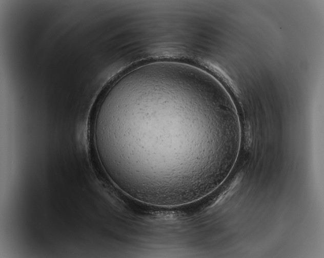 X0000094460439200711081328
