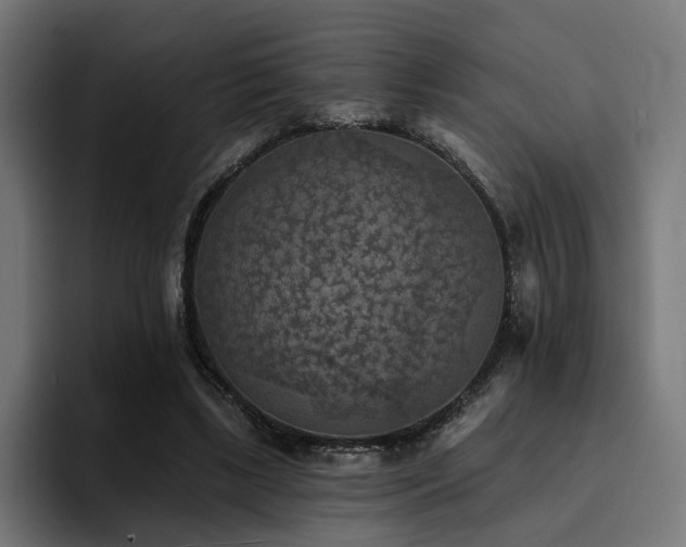 X0000094460443200711081328