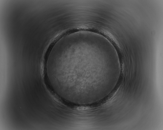 X0000094460444200711081328