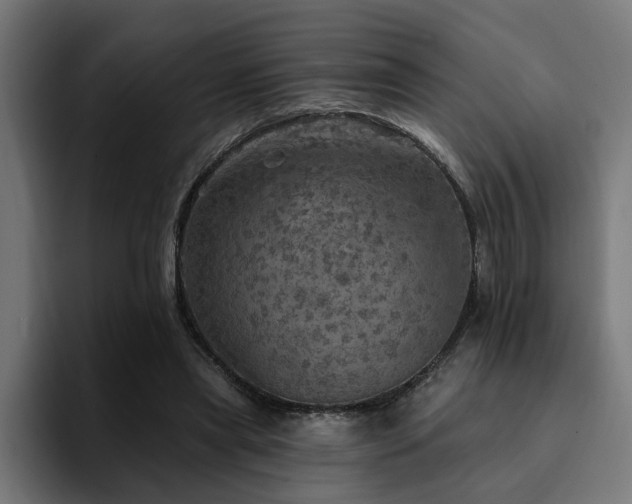 X0000094460445200711081328