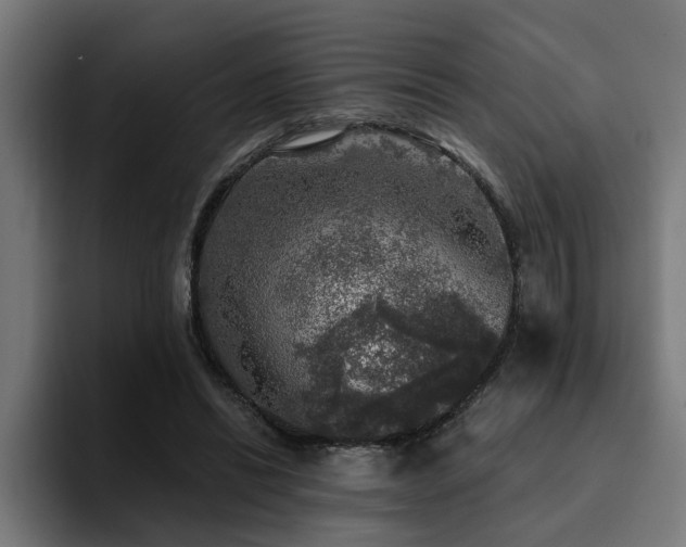 X0000094460446200711081328