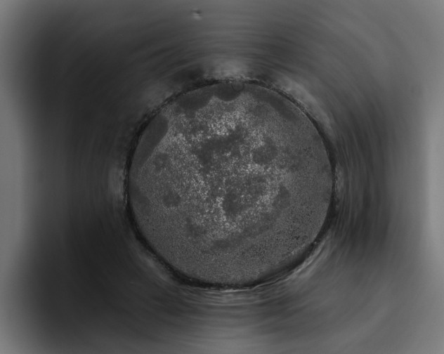 X0000094460449200711081328