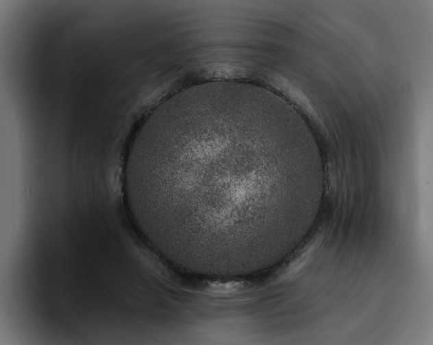 X0000094460450200711081328