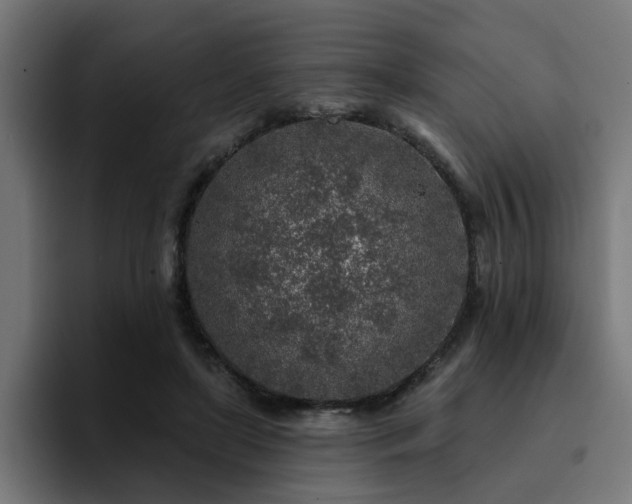 X0000094460451200711081328