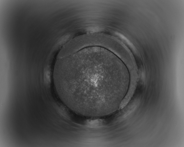 X0000094460452200711081328