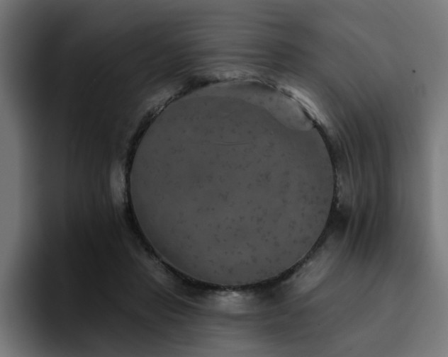 X0000094460453200711081328