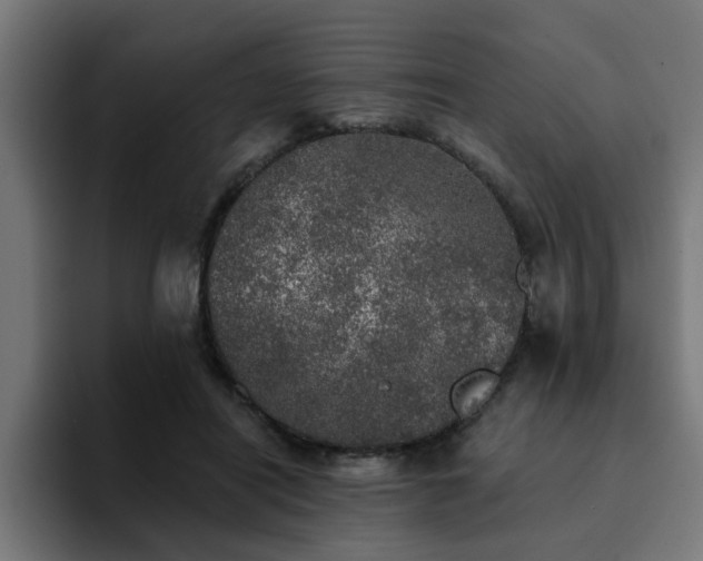 X0000094460454200711081329