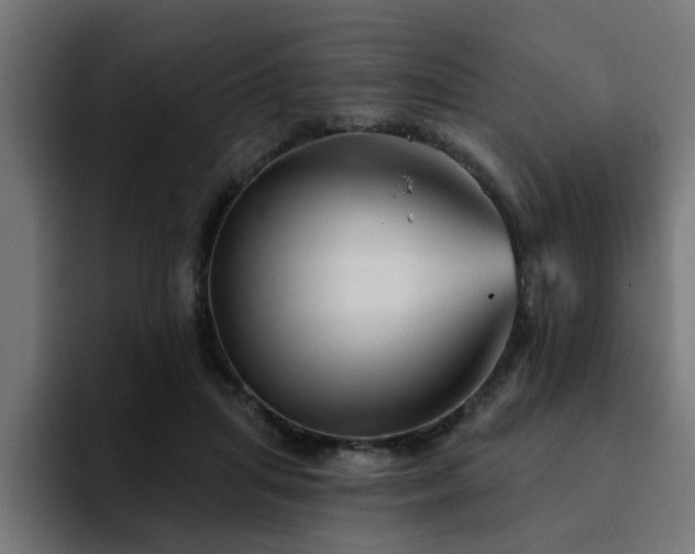 X0000094460455200711081329
