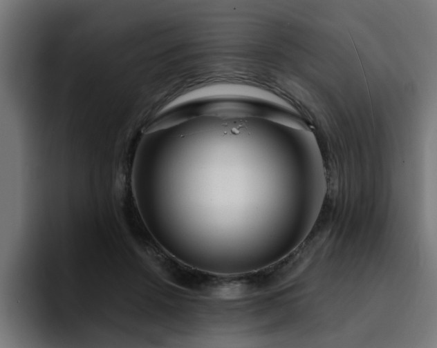 X0000094460456200711081329