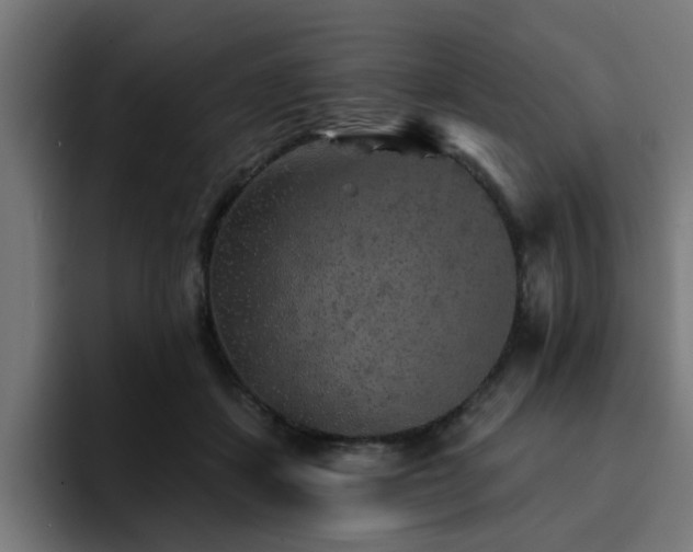 X0000094460459200711081329