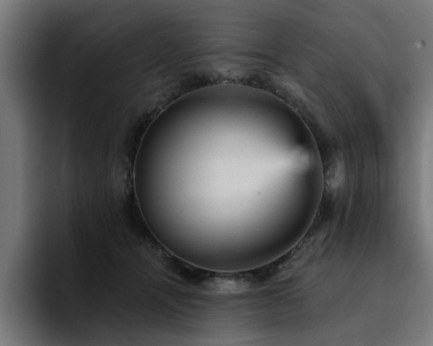 X0000094460464200711081329
