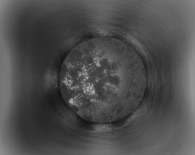 X0000094460465200711081329