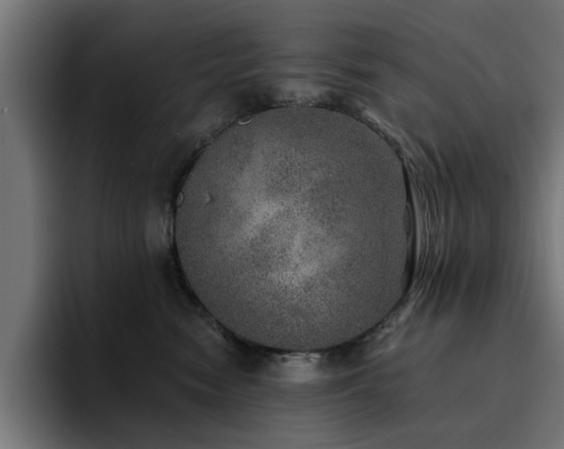 X0000094460474200711081329