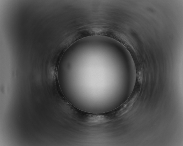 X0000094460476200711081329