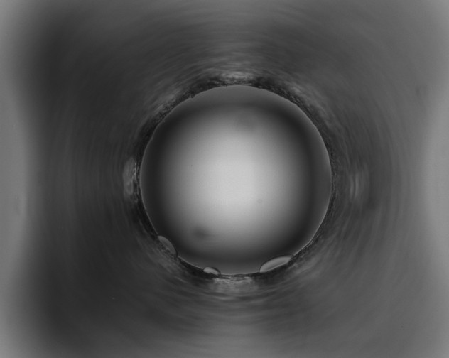 X0000094460480200711081329