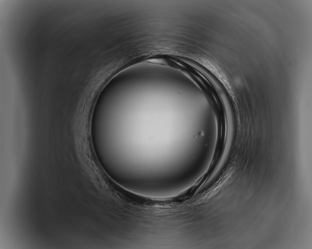 X0000094460481200711081328