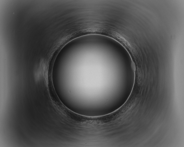 X0000094460482200711081328