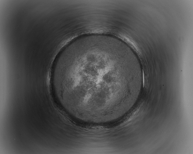 X0000094460483200711081328