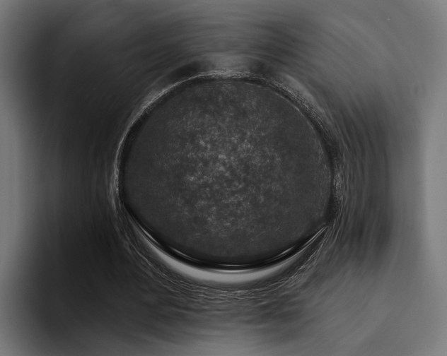X0000094460484200711081328