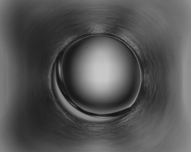 X0000094460485200711081328