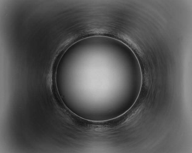 X0000094460486200711081328