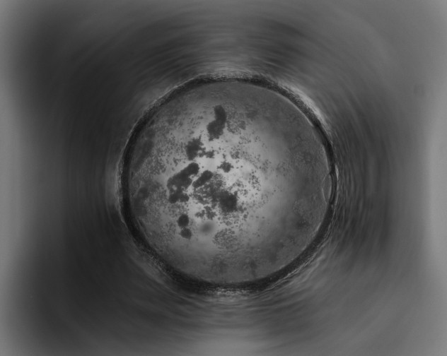 X0000094460487200711081328