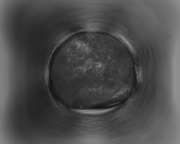 X0000094460488200711081328