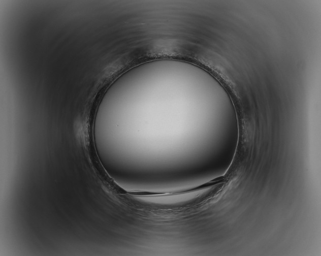 X0000094460489200711081328