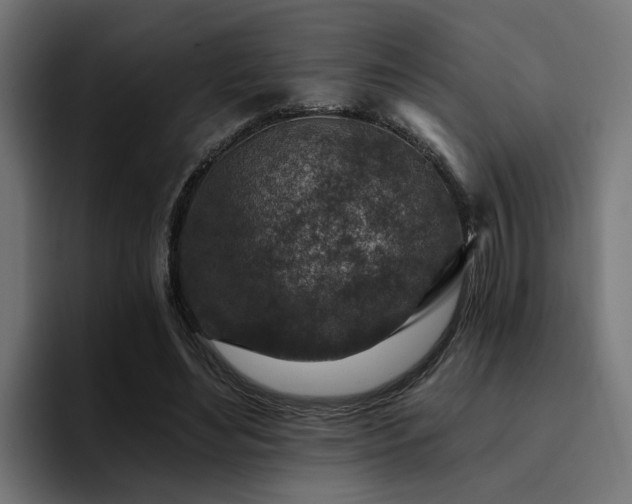 X0000094460492200711081328