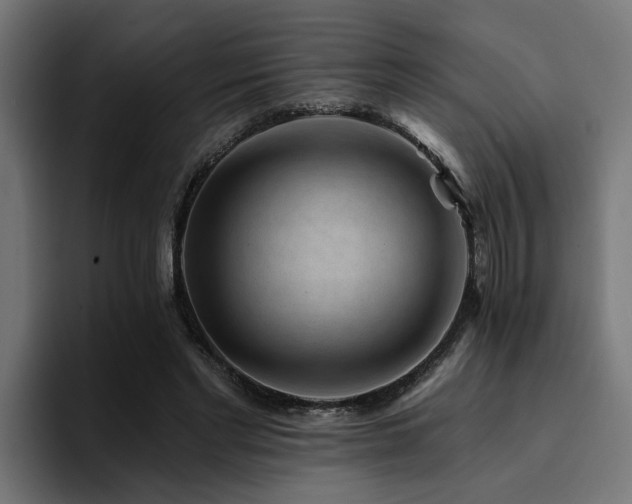 X0000094460493200711081328