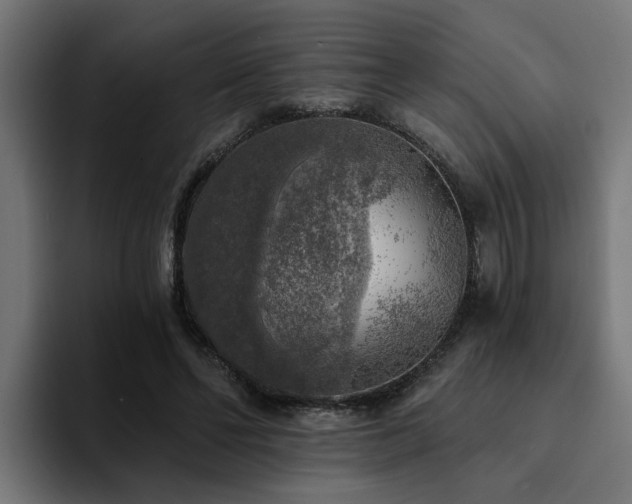 X0000094460494200711081328