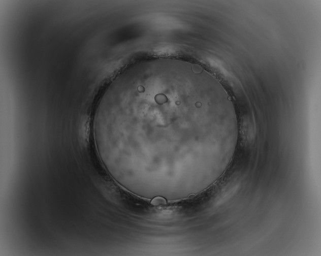 X0000094460495200711081328