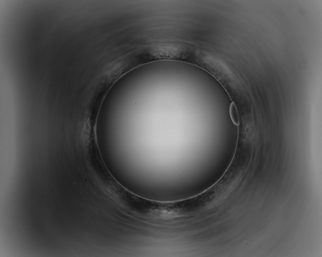X0000094460498200711081328