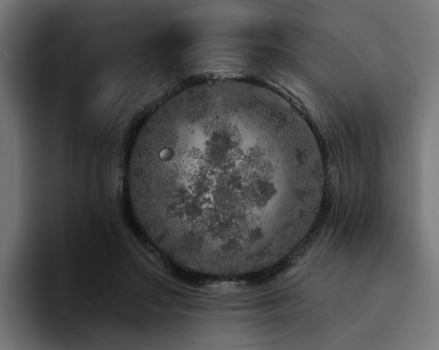 X0000094460499200711081328