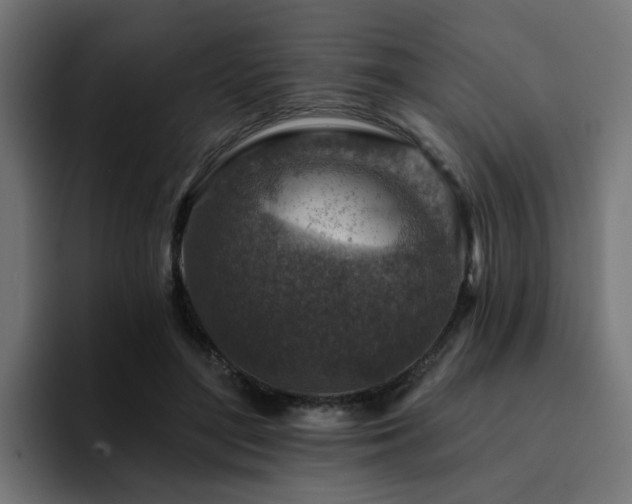 X0000094460500200711081328