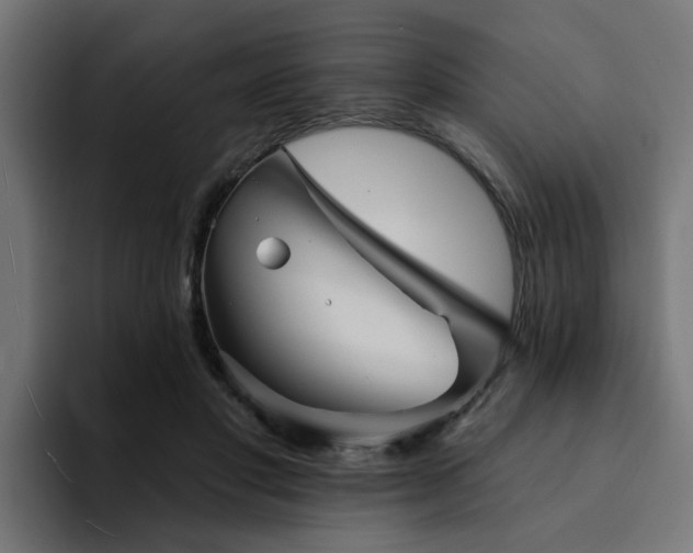 X0000094460501200711081328